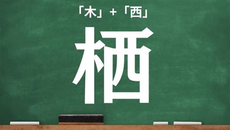 木羽 漢字|木へんに羽で「栩」の読み方とは？使い方など簡単に。